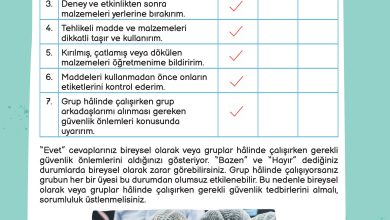 3. Sınıf Meb Yayınları Fen Bilimleri Ders Kitabı Sayfa 104 Cevapları