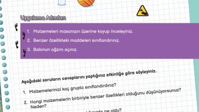 3. Sınıf Meb Yayınları Fen Bilimleri Ders Kitabı Sayfa 107 Cevapları