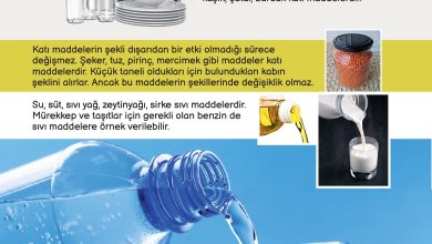 3. Sınıf Meb Yayınları Fen Bilimleri Ders Kitabı Sayfa 108 Cevapları