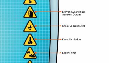 3. Sınıf Meb Yayınları Fen Bilimleri Ders Kitabı Sayfa 11 Cevapları