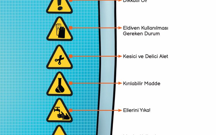 3. Sınıf Meb Yayınları Fen Bilimleri Ders Kitabı Sayfa 11 Cevapları