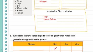 3. Sınıf Meb Yayınları Fen Bilimleri Ders Kitabı Sayfa 110 Cevapları