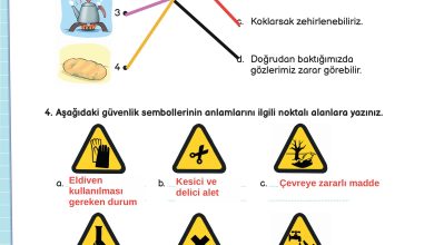 3. Sınıf Meb Yayınları Fen Bilimleri Ders Kitabı Sayfa 112 Cevapları