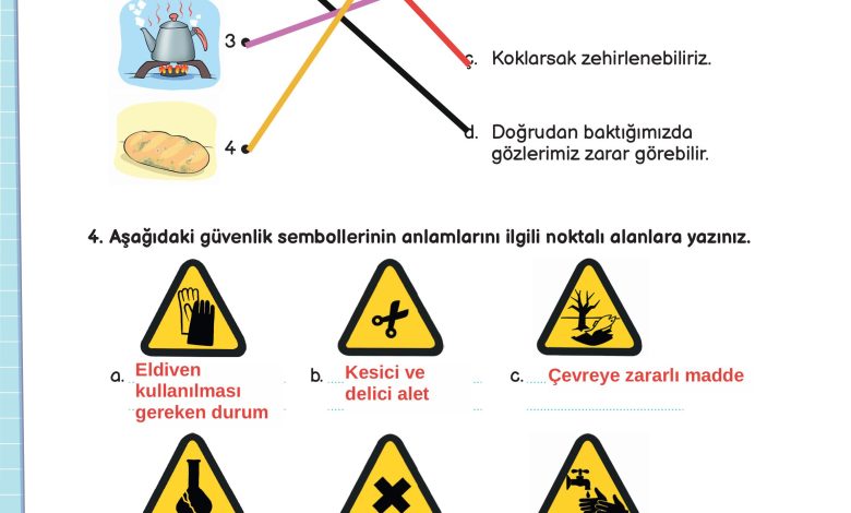 3. Sınıf Meb Yayınları Fen Bilimleri Ders Kitabı Sayfa 112 Cevapları