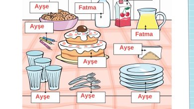 3. Sınıf Meb Yayınları Fen Bilimleri Ders Kitabı Sayfa 113 Cevapları