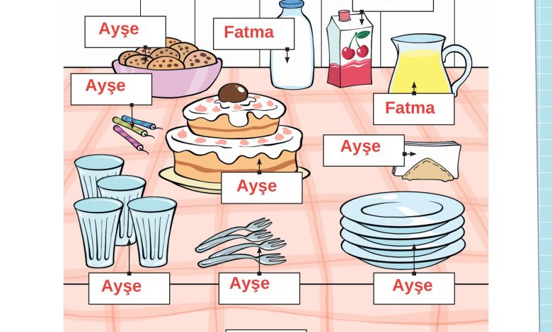 3. Sınıf Meb Yayınları Fen Bilimleri Ders Kitabı Sayfa 113 Cevapları