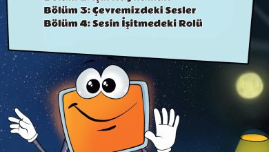 3. Sınıf Meb Yayınları Fen Bilimleri Ders Kitabı Sayfa 114 Cevapları