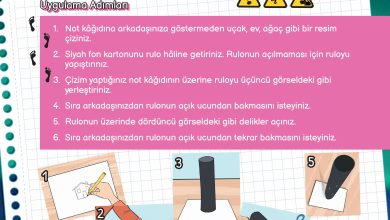 3. Sınıf Meb Yayınları Fen Bilimleri Ders Kitabı Sayfa 117 Cevapları