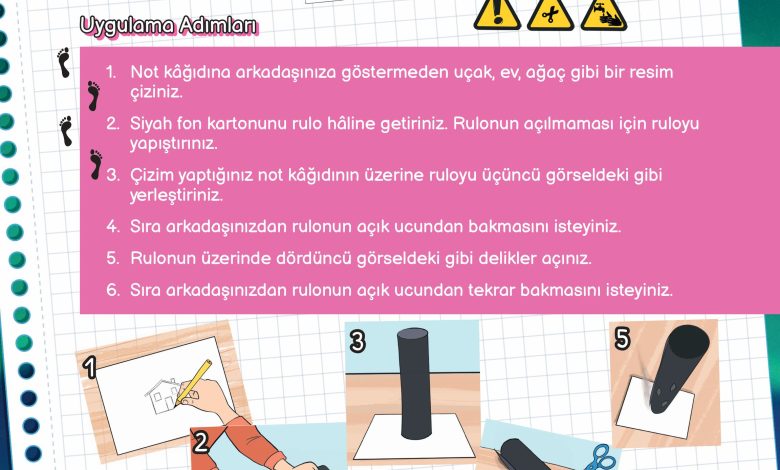 3. Sınıf Meb Yayınları Fen Bilimleri Ders Kitabı Sayfa 117 Cevapları