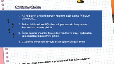 3. Sınıf Meb Yayınları Fen Bilimleri Ders Kitabı Sayfa 122 Cevapları