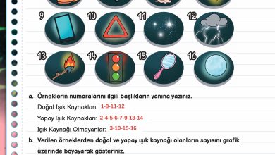 3. Sınıf Meb Yayınları Fen Bilimleri Ders Kitabı Sayfa 126 Cevapları