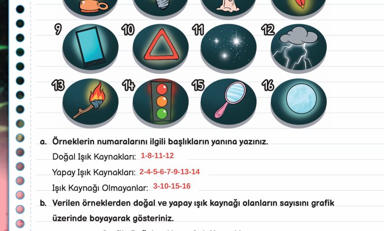 3. Sınıf Meb Yayınları Fen Bilimleri Ders Kitabı Sayfa 126 Cevapları