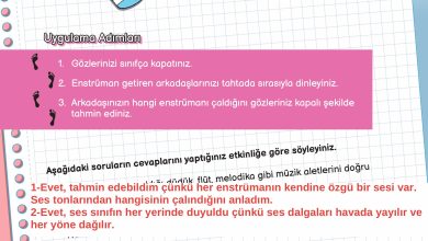 3. Sınıf Meb Yayınları Fen Bilimleri Ders Kitabı Sayfa 128 Cevapları