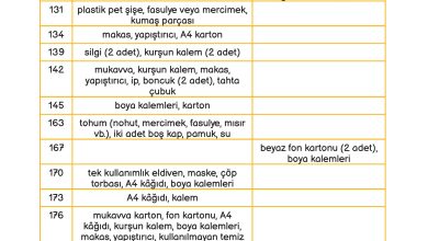 3. Sınıf Meb Yayınları Fen Bilimleri Ders Kitabı Sayfa 13 Cevapları