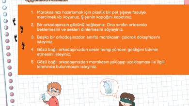 3. Sınıf Meb Yayınları Fen Bilimleri Ders Kitabı Sayfa 131 Cevapları