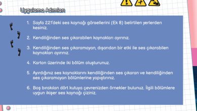 3. Sınıf Meb Yayınları Fen Bilimleri Ders Kitabı Sayfa 134 Cevapları