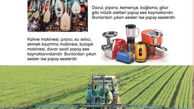 3. Sınıf Meb Yayınları Fen Bilimleri Ders Kitabı Sayfa 136 Cevapları