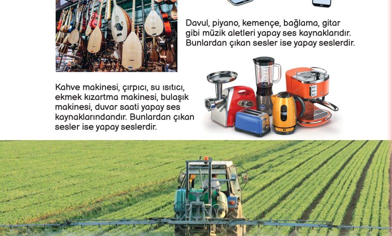 3. Sınıf Meb Yayınları Fen Bilimleri Ders Kitabı Sayfa 136 Cevapları