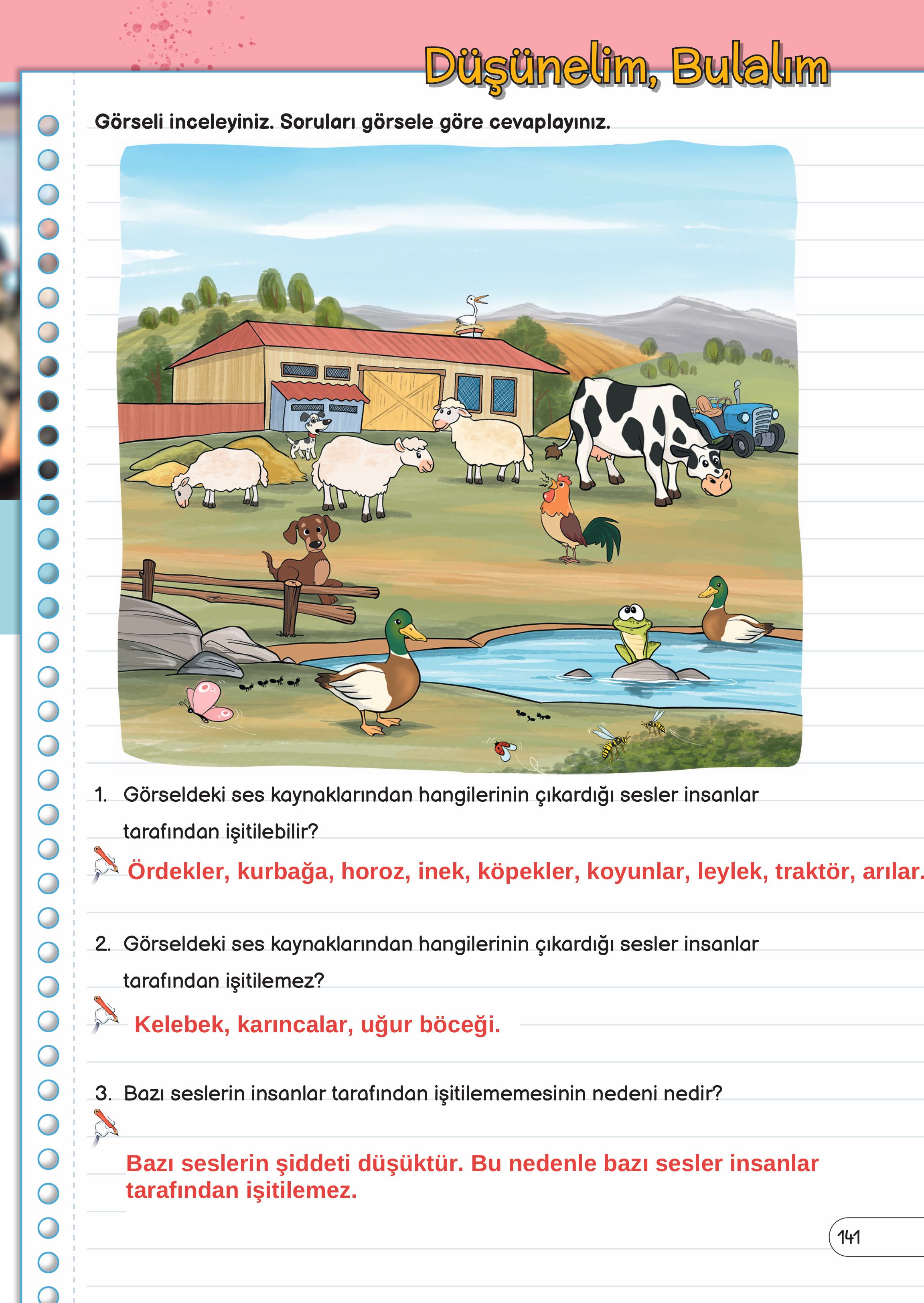 3. Sınıf Meb Yayınları Fen Bilimleri Ders Kitabı Sayfa 141 Cevapları