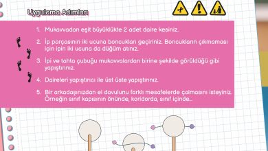 3. Sınıf Meb Yayınları Fen Bilimleri Ders Kitabı Sayfa 142 Cevapları