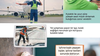 3. Sınıf Meb Yayınları Fen Bilimleri Ders Kitabı Sayfa 146 Cevapları