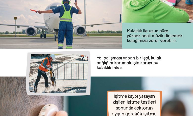 3. Sınıf Meb Yayınları Fen Bilimleri Ders Kitabı Sayfa 146 Cevapları