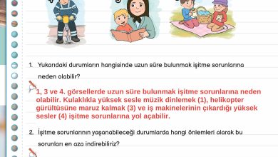 3. Sınıf Meb Yayınları Fen Bilimleri Ders Kitabı Sayfa 147 Cevapları