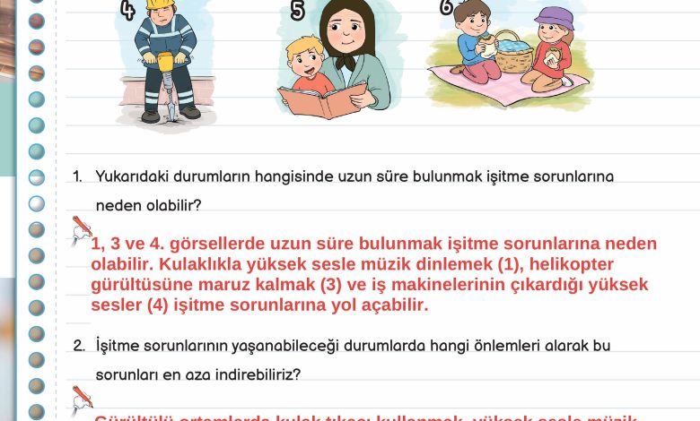 3. Sınıf Meb Yayınları Fen Bilimleri Ders Kitabı Sayfa 147 Cevapları