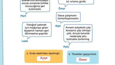 3. Sınıf Meb Yayınları Fen Bilimleri Ders Kitabı Sayfa 148 Cevapları