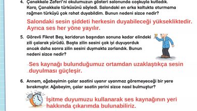 3. Sınıf Meb Yayınları Fen Bilimleri Ders Kitabı Sayfa 150 Cevapları