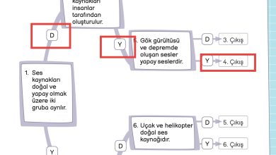 3. Sınıf Meb Yayınları Fen Bilimleri Ders Kitabı Sayfa 151 Cevapları