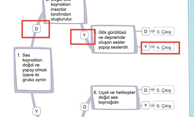 3. Sınıf Meb Yayınları Fen Bilimleri Ders Kitabı Sayfa 151 Cevapları