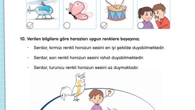 3. Sınıf Meb Yayınları Fen Bilimleri Ders Kitabı Sayfa 152 Cevapları