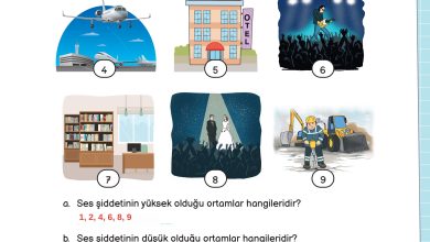 3. Sınıf Meb Yayınları Fen Bilimleri Ders Kitabı Sayfa 153 Cevapları