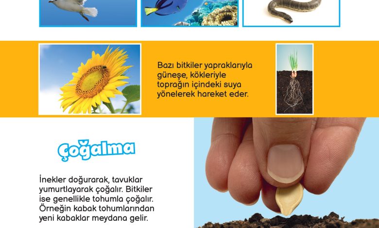 3. Sınıf Meb Yayınları Fen Bilimleri Ders Kitabı Sayfa 158 Cevapları