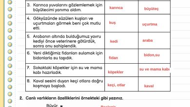 3. Sınıf Meb Yayınları Fen Bilimleri Ders Kitabı Sayfa 160 Cevapları