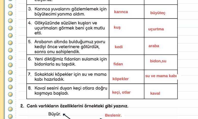 3. Sınıf Meb Yayınları Fen Bilimleri Ders Kitabı Sayfa 160 Cevapları