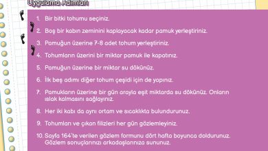 3. Sınıf Meb Yayınları Fen Bilimleri Ders Kitabı Sayfa 163 Cevapları