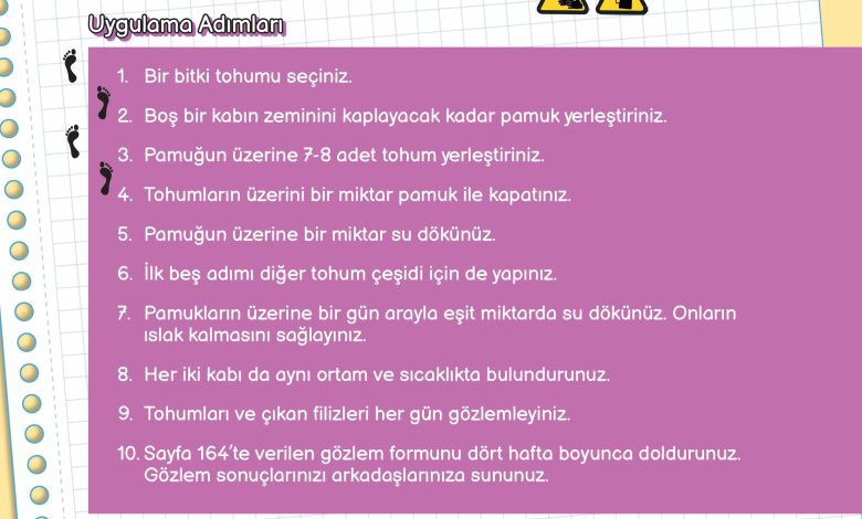 3. Sınıf Meb Yayınları Fen Bilimleri Ders Kitabı Sayfa 163 Cevapları