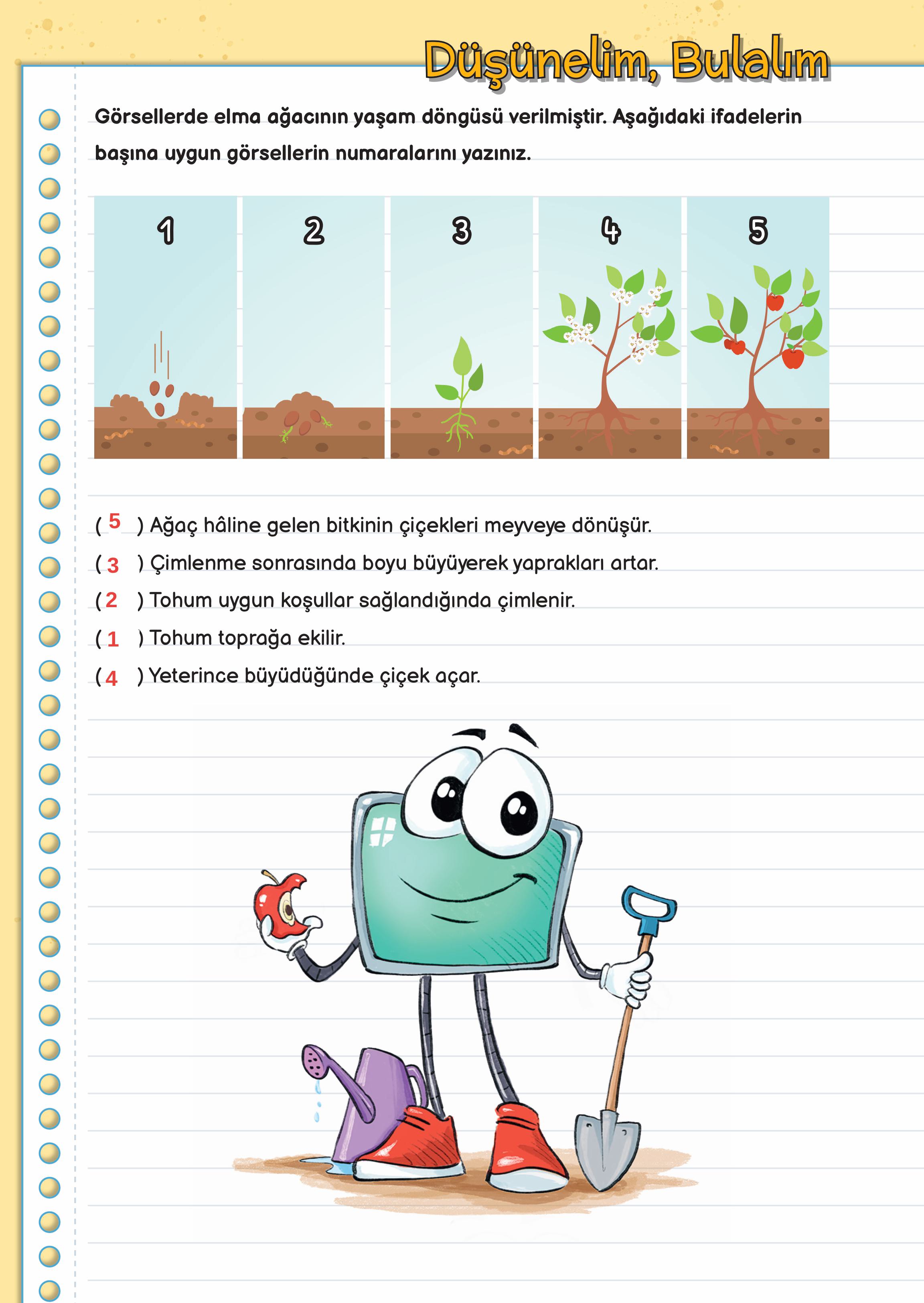 3. Sınıf Meb Yayınları Fen Bilimleri Ders Kitabı Sayfa 165 Cevapları