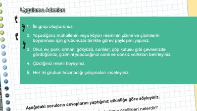 3. Sınıf Meb Yayınları Fen Bilimleri Ders Kitabı Sayfa 167 Cevapları