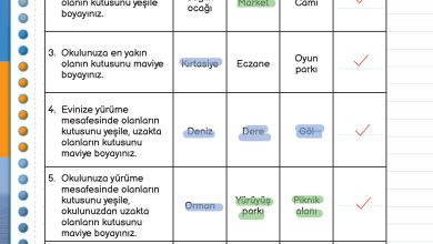 3. Sınıf Meb Yayınları Fen Bilimleri Ders Kitabı Sayfa 169 Cevapları