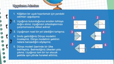 3. Sınıf Meb Yayınları Fen Bilimleri Ders Kitabı Sayfa 17 Cevapları