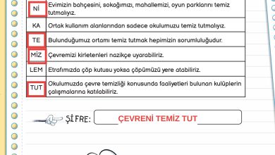 3. Sınıf Meb Yayınları Fen Bilimleri Ders Kitabı Sayfa 172 Cevapları