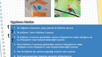 3. Sınıf Meb Yayınları Fen Bilimleri Ders Kitabı Sayfa 173 Cevapları