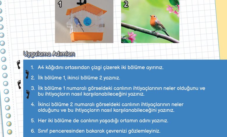 3. Sınıf Meb Yayınları Fen Bilimleri Ders Kitabı Sayfa 173 Cevapları