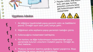 3. Sınıf Meb Yayınları Fen Bilimleri Ders Kitabı Sayfa 176 Cevapları