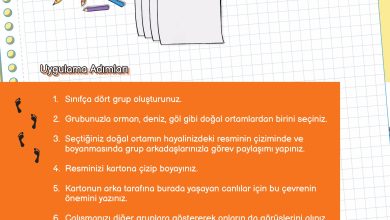 3. Sınıf Meb Yayınları Fen Bilimleri Ders Kitabı Sayfa 178 Cevapları