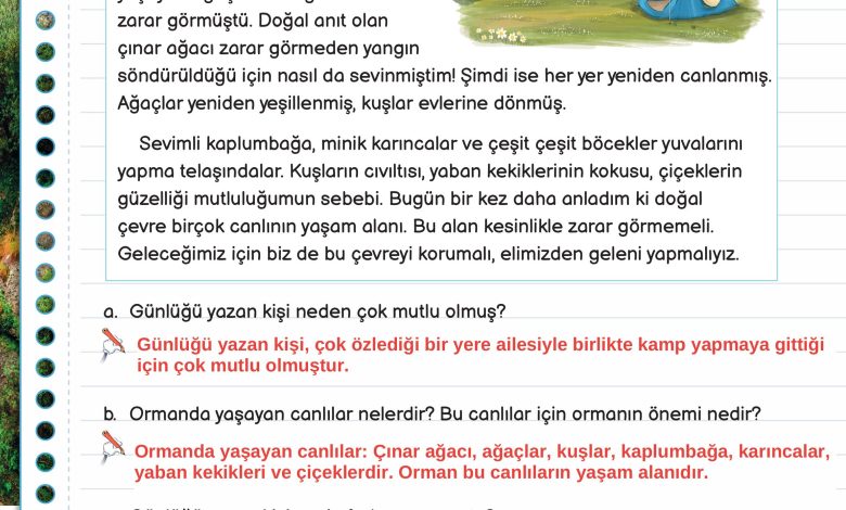 3. Sınıf Meb Yayınları Fen Bilimleri Ders Kitabı Sayfa 181 Cevapları