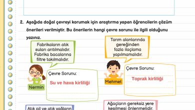 3. Sınıf Meb Yayınları Fen Bilimleri Ders Kitabı Sayfa 184 Cevapları